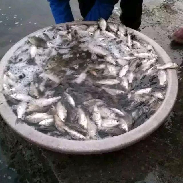 湖南第一深情