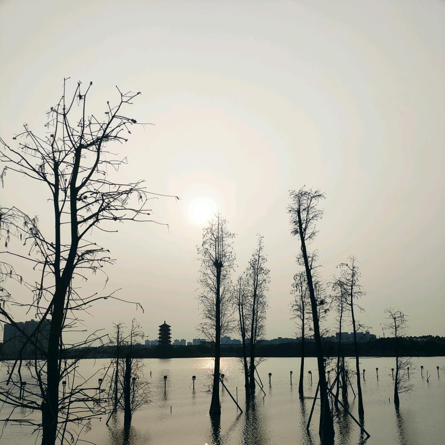 味湘邻