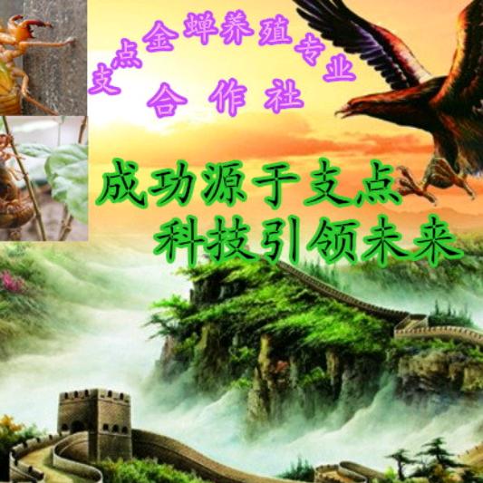 西华县支点金蝉养殖专业合作社