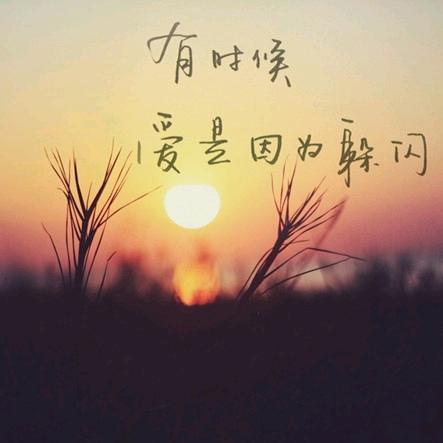 liang安然！