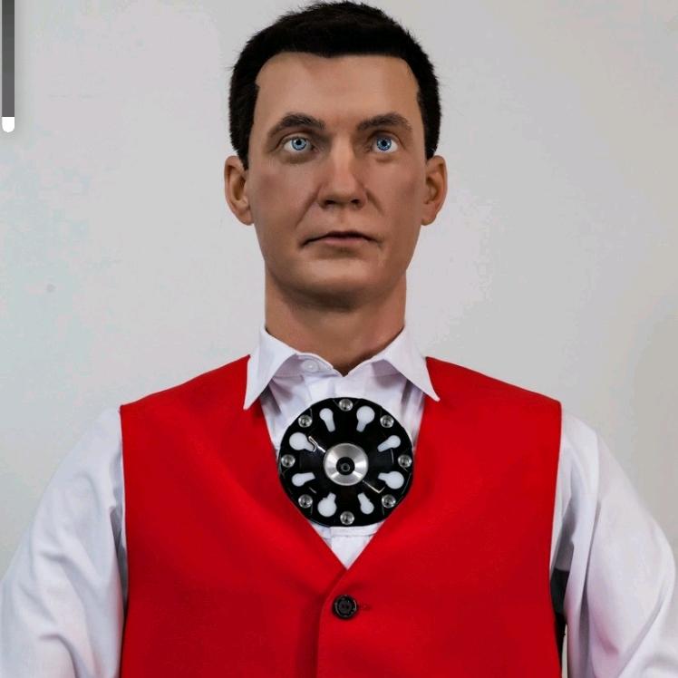俄罗斯彼尔姆robots