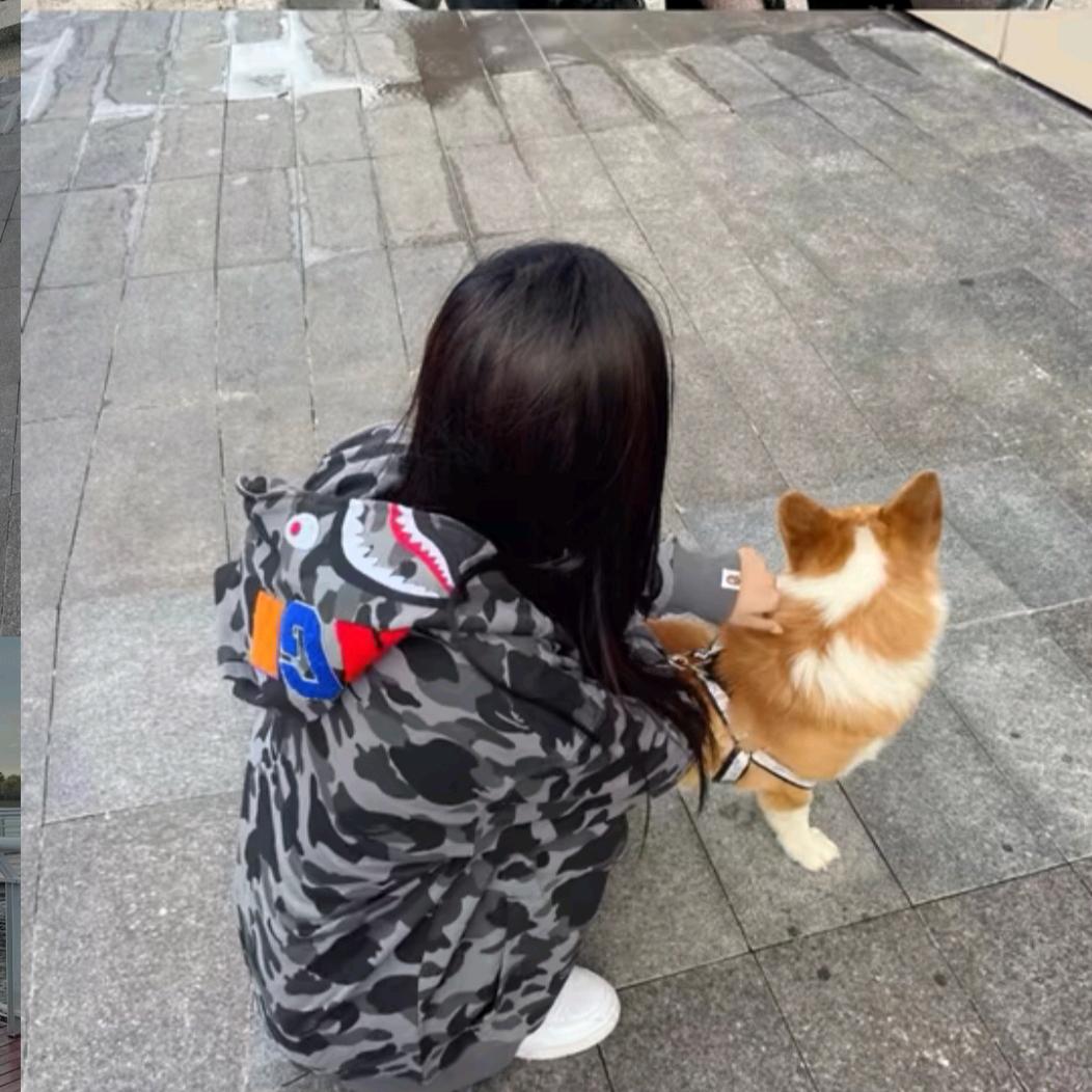 温柔₍˄·͈༝·͈˄*₎◞ ̑̑怡