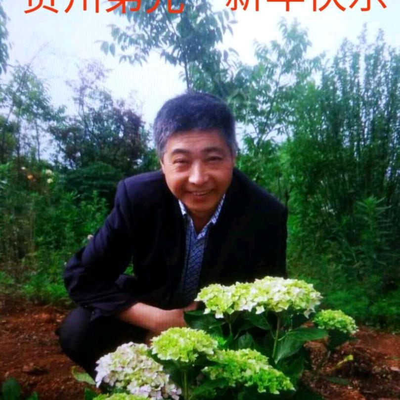 大卫(首播筹备中)