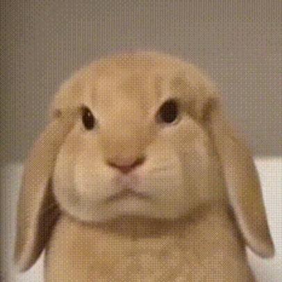 独白.