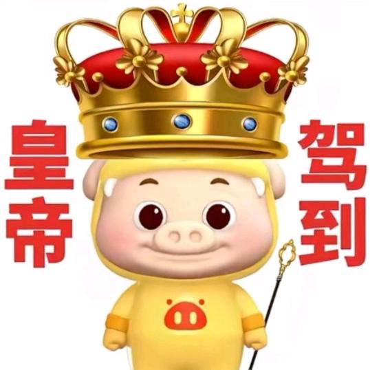 魔怔小喜我称王