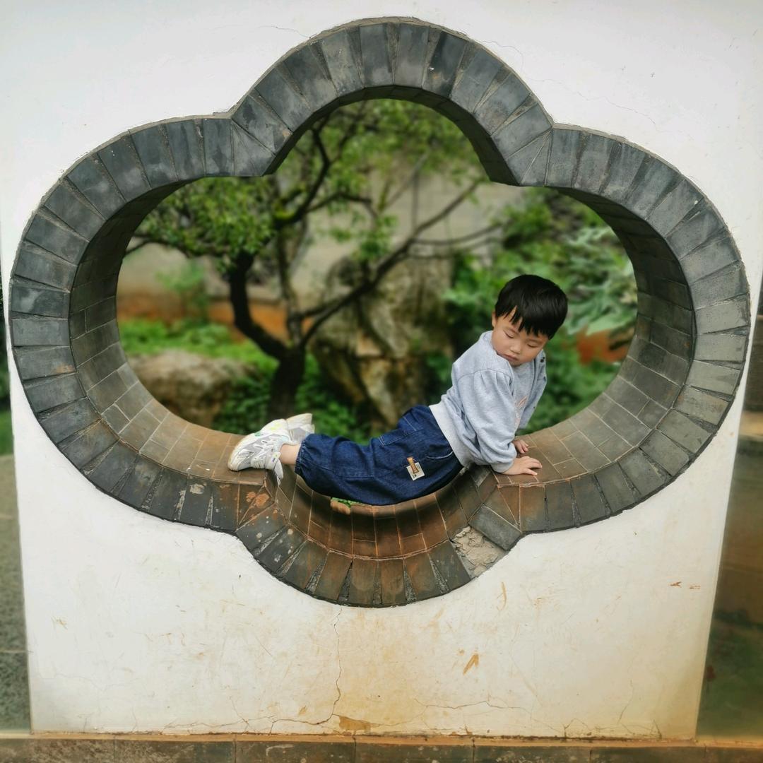 .雄鹰