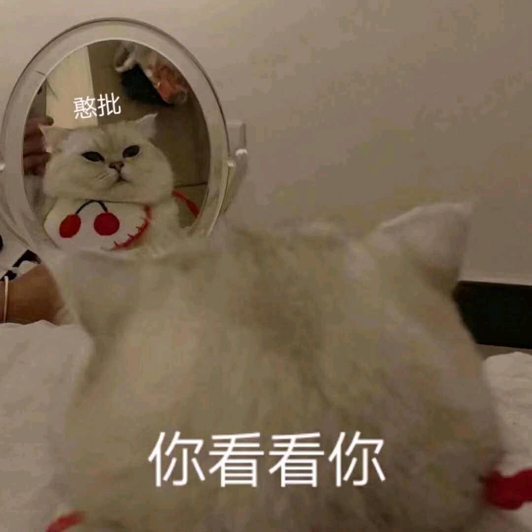 一个西瓜儿🌸
