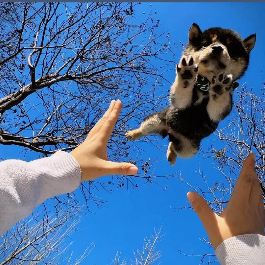 十一点半