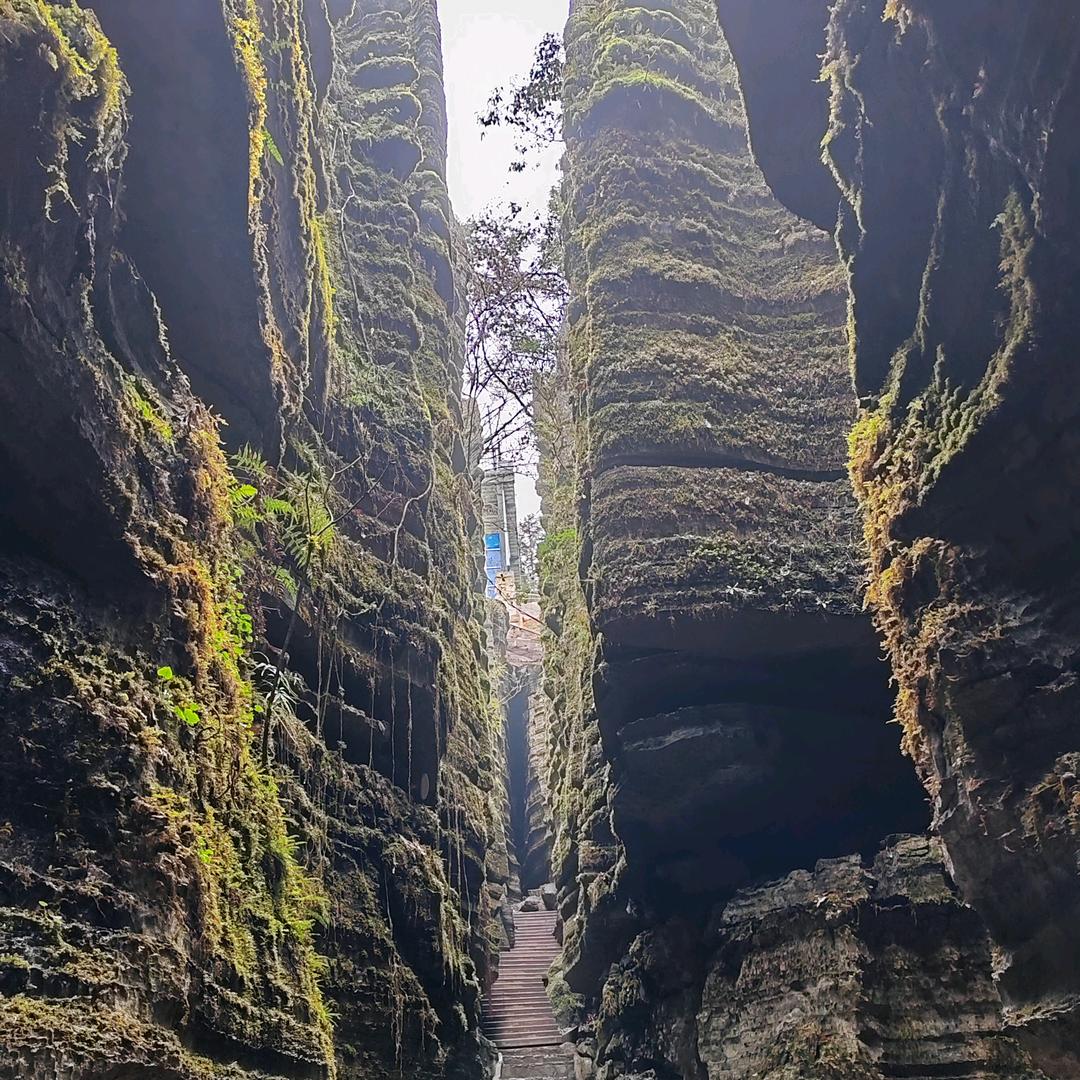 海阔天地