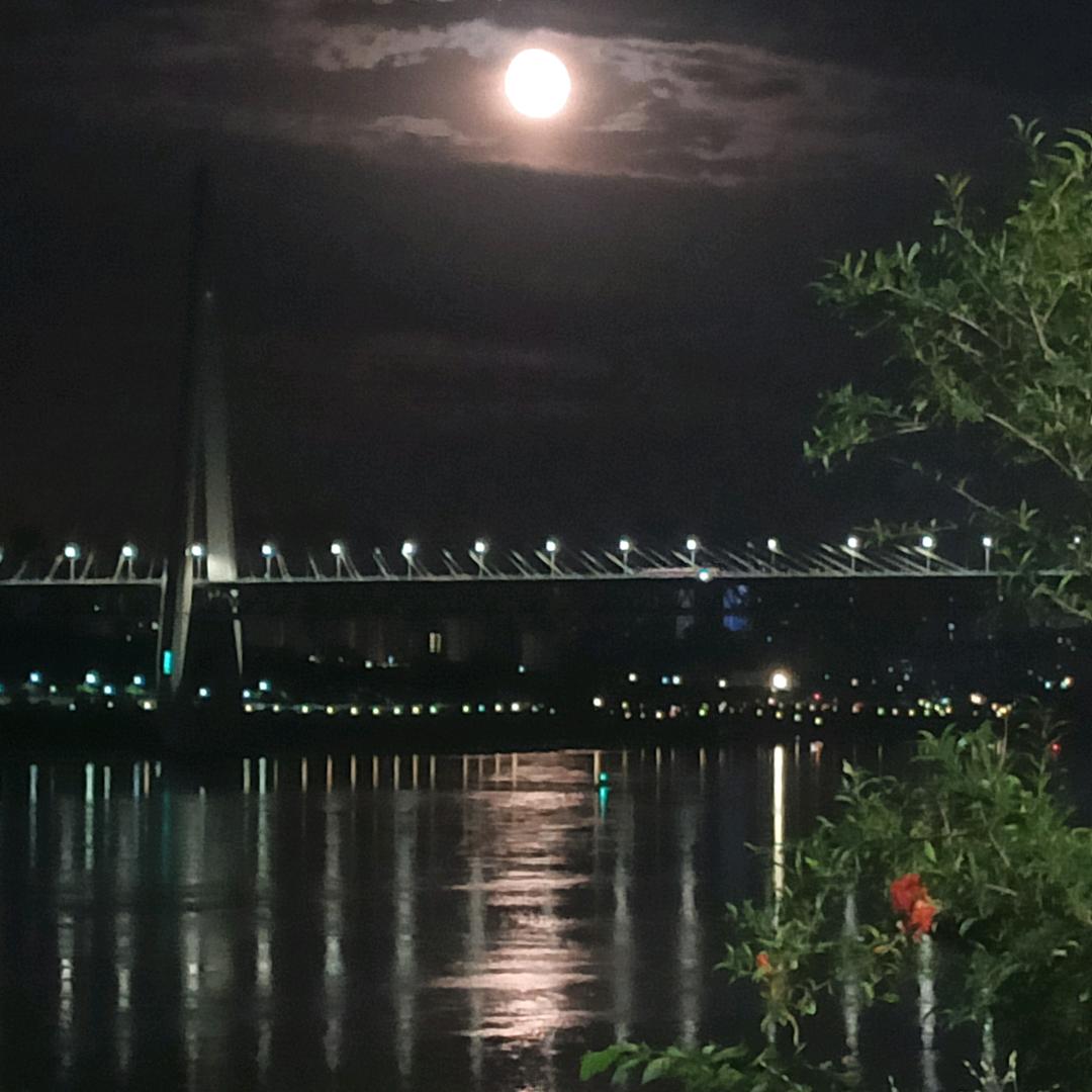 一生频繁，好物分享