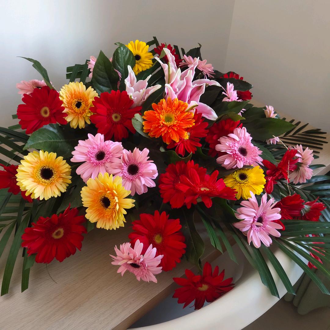 山茶花