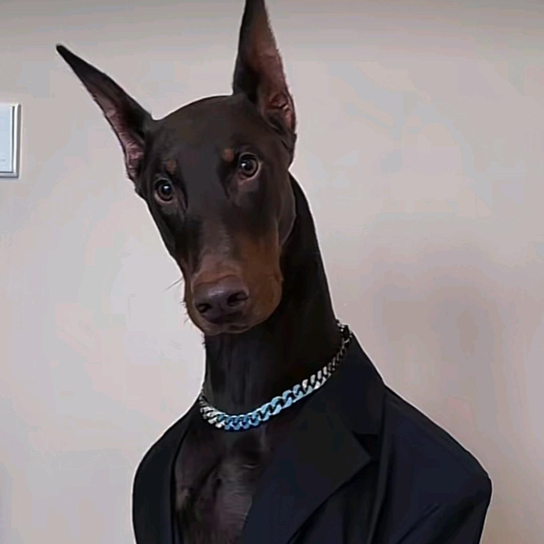 杨三娃