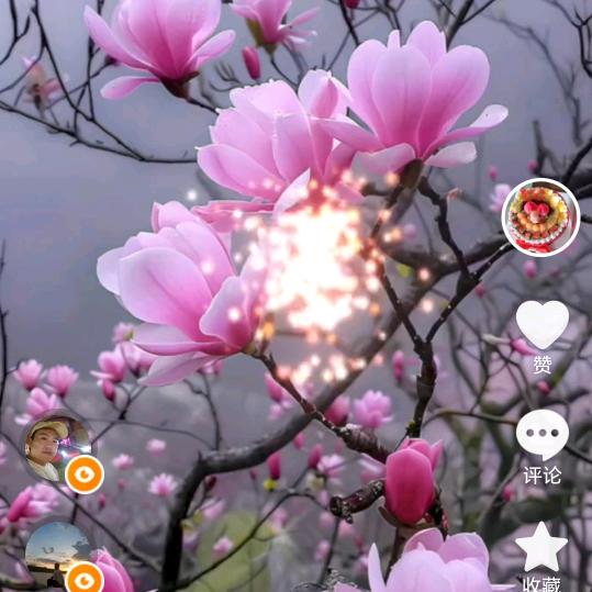 梅姐