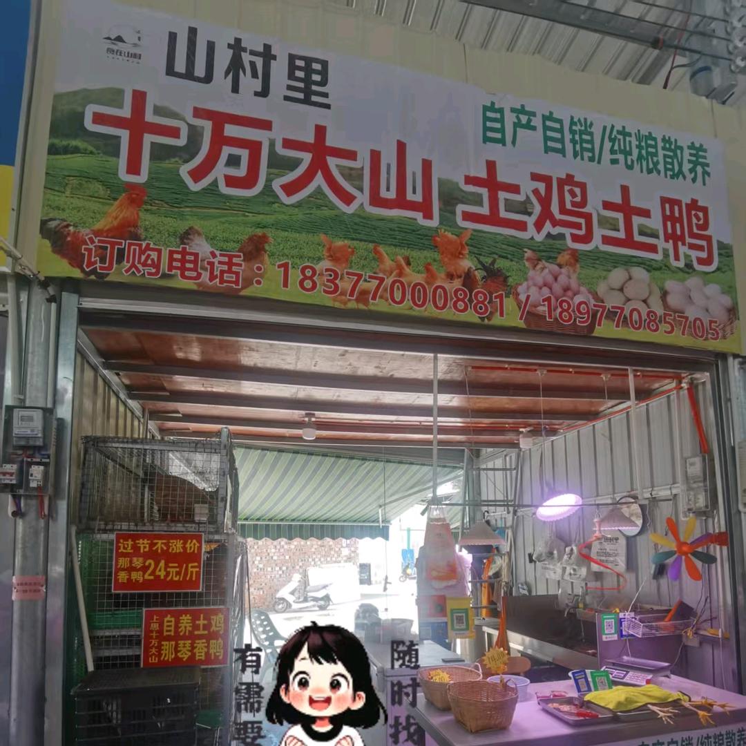 农小叔自养土鸡