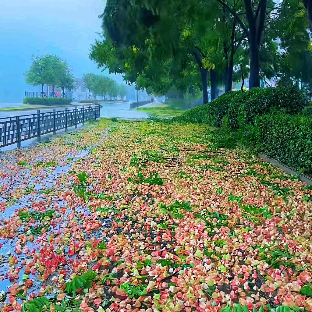 珊珊宝贝