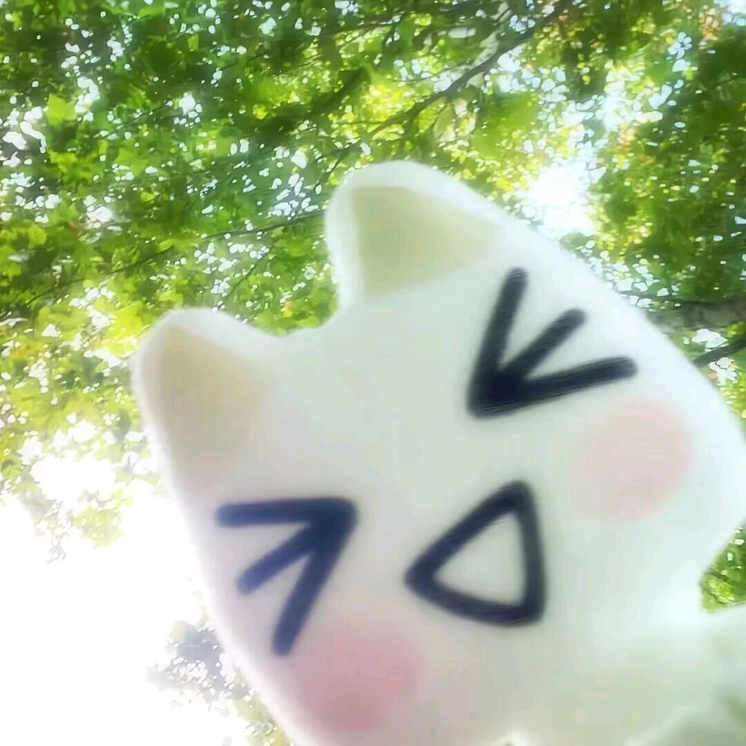 泪及耳