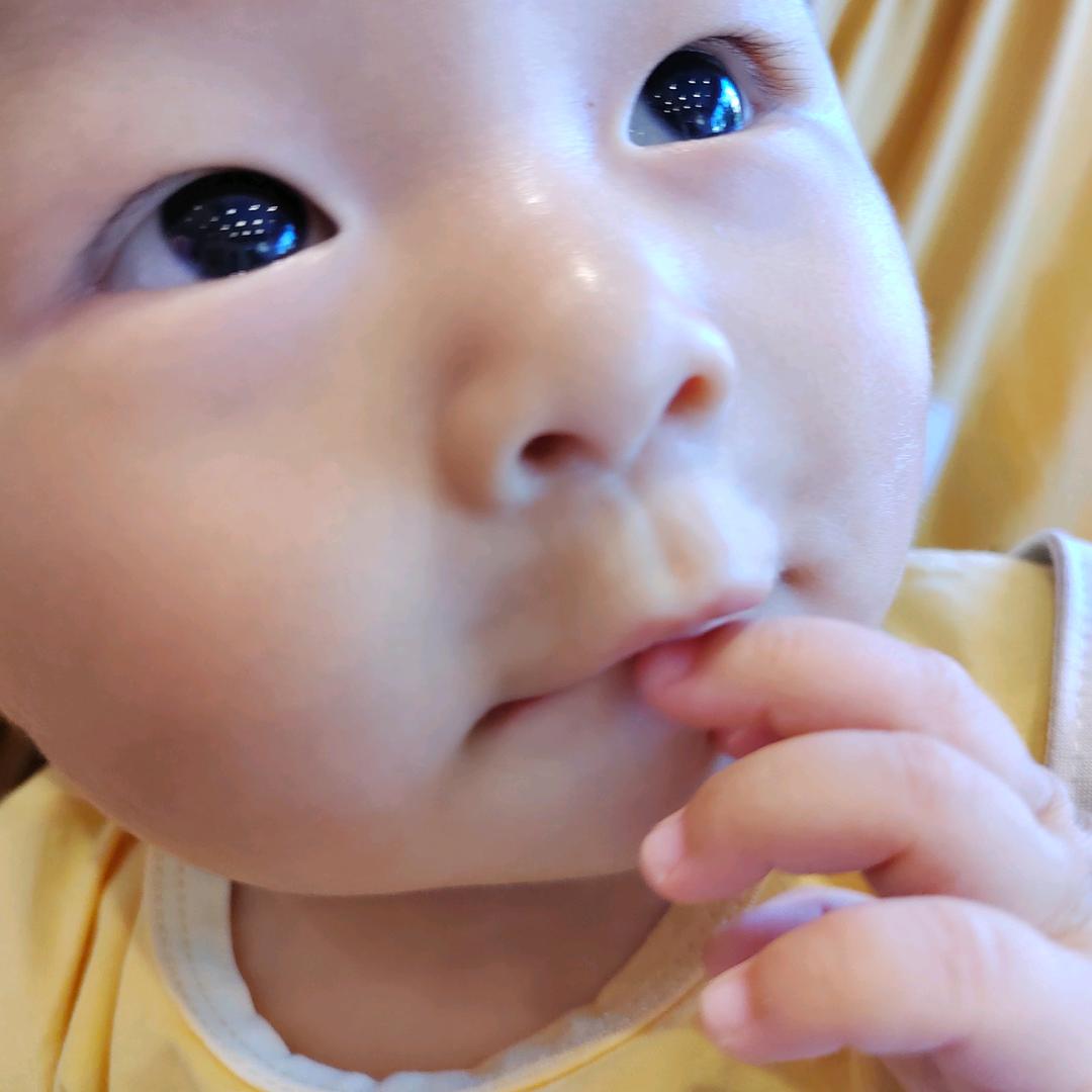 樱桃小丸子