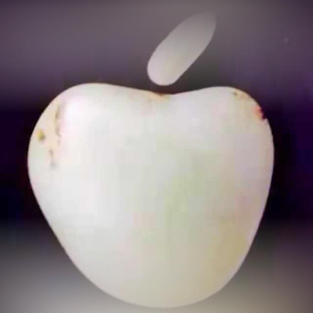 努尔