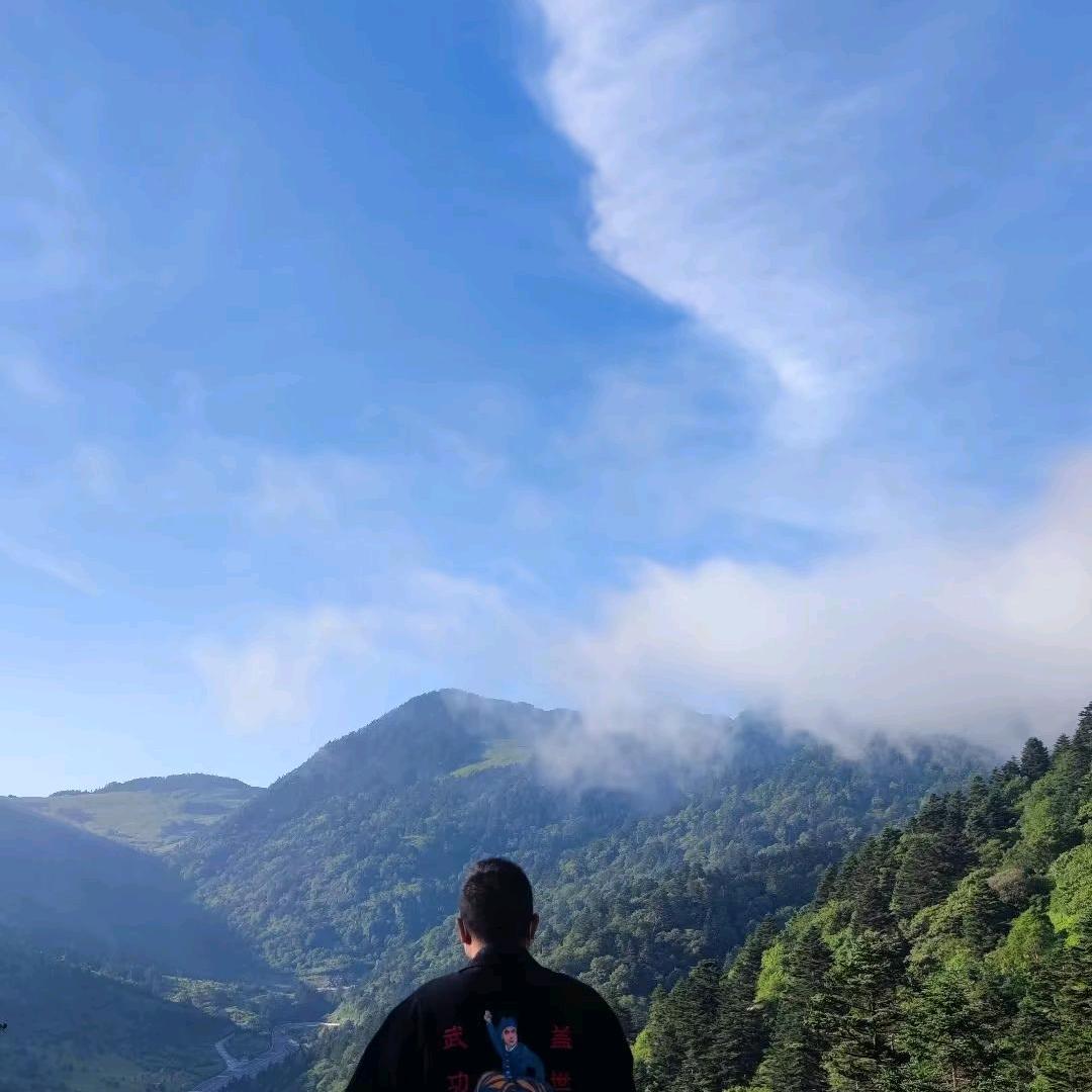 大呲花(武汉网约车司机)