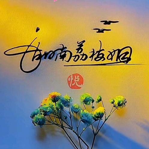 湖南荔枝姐