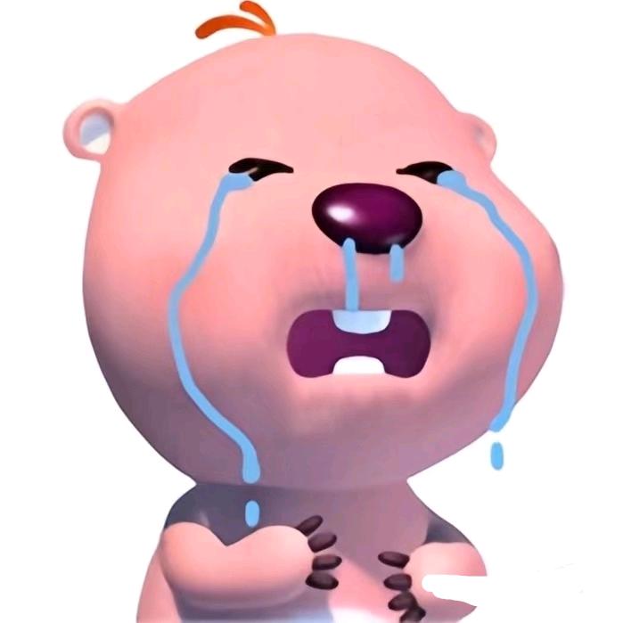 拱白菜的小猪🐷