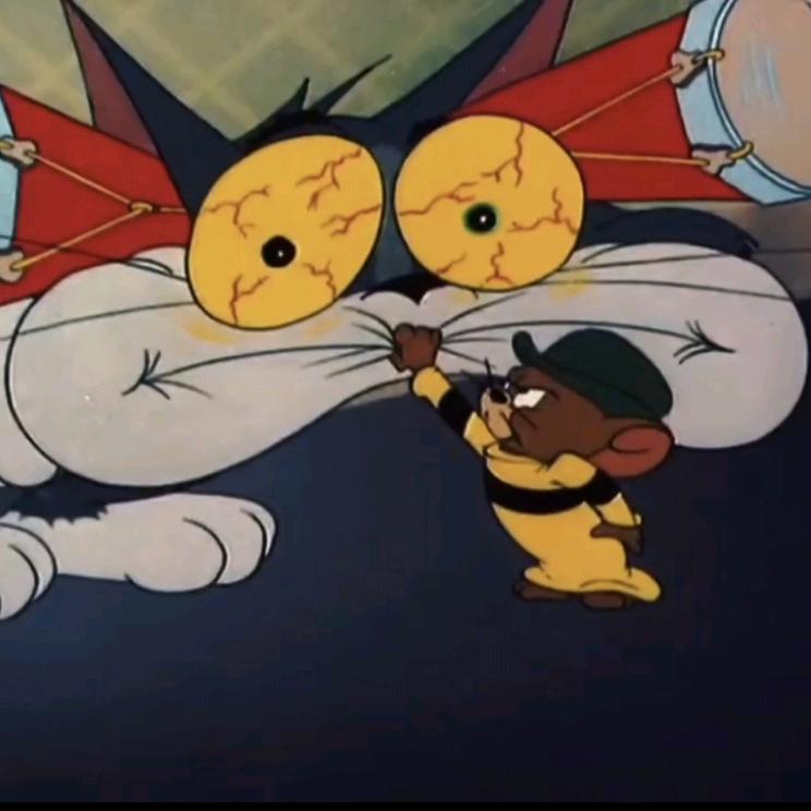 🐷🐷🐷摆烂小子🐽