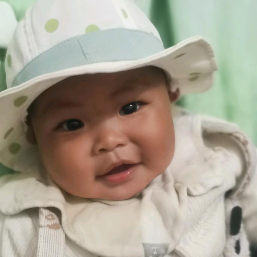 中蜂养殖纯天然绿色蜂蜜