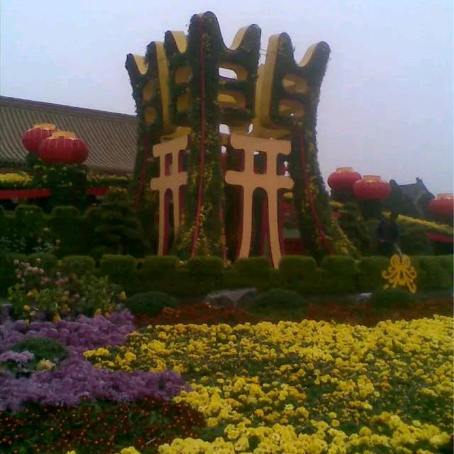 春雨
