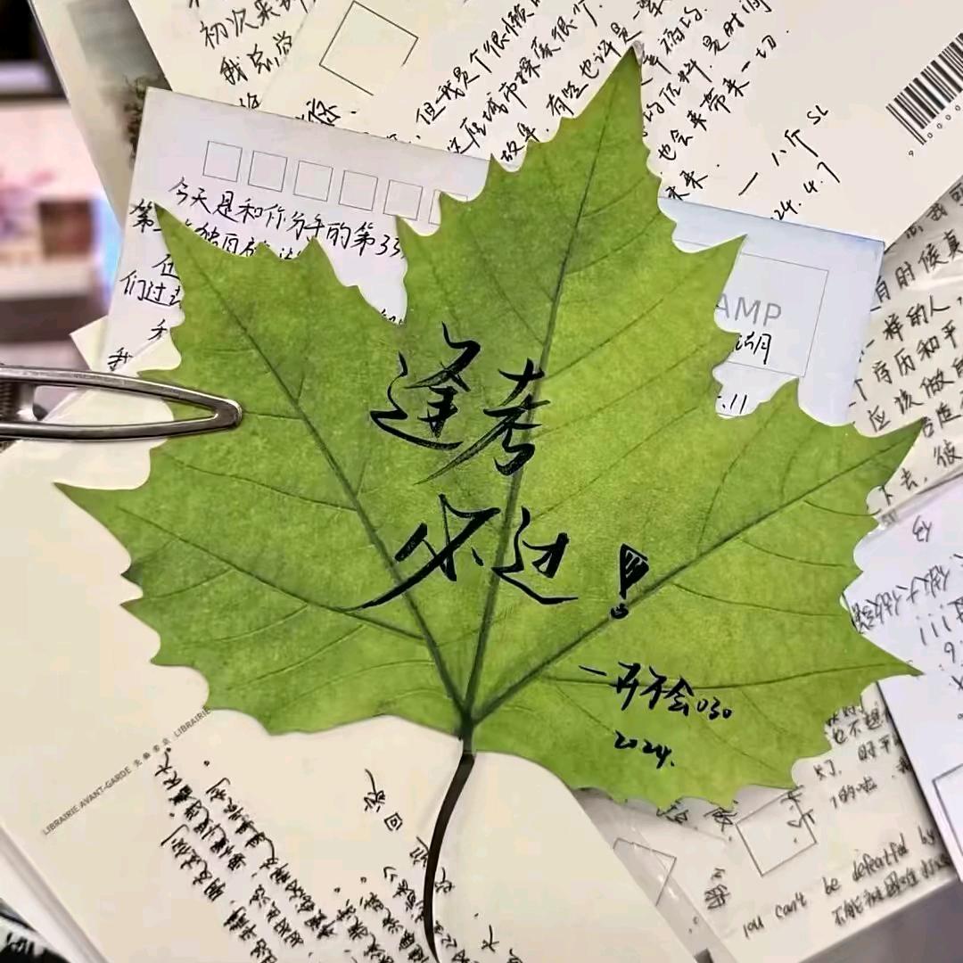 哦豁🤭