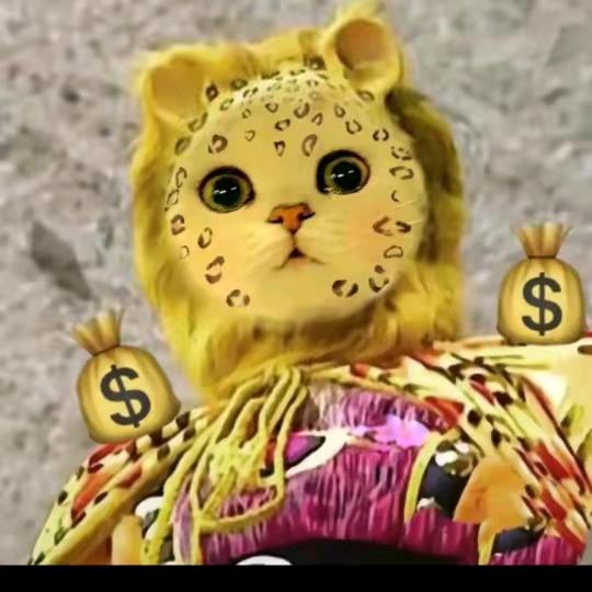 没有做人资格证