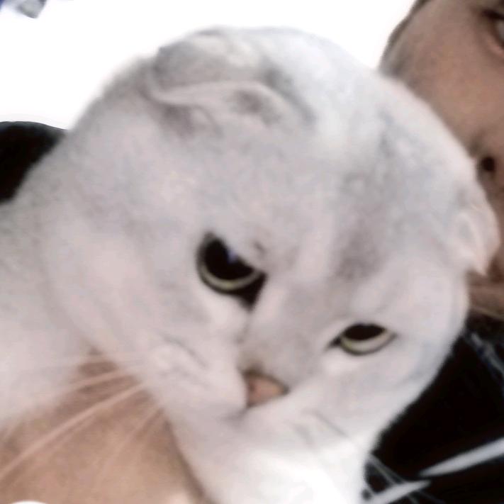W.🐱