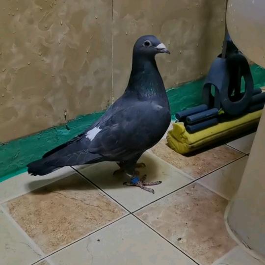 👉人心难测👈