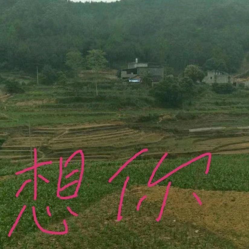 我想回家