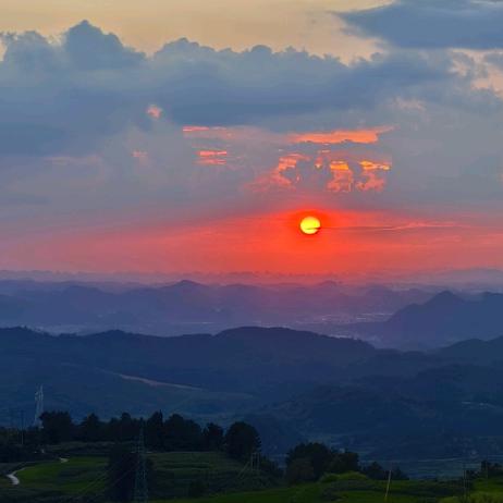 瑞瑞的成长日记