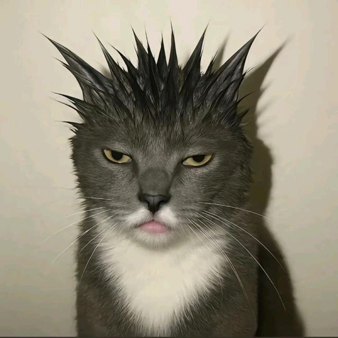 臭宝