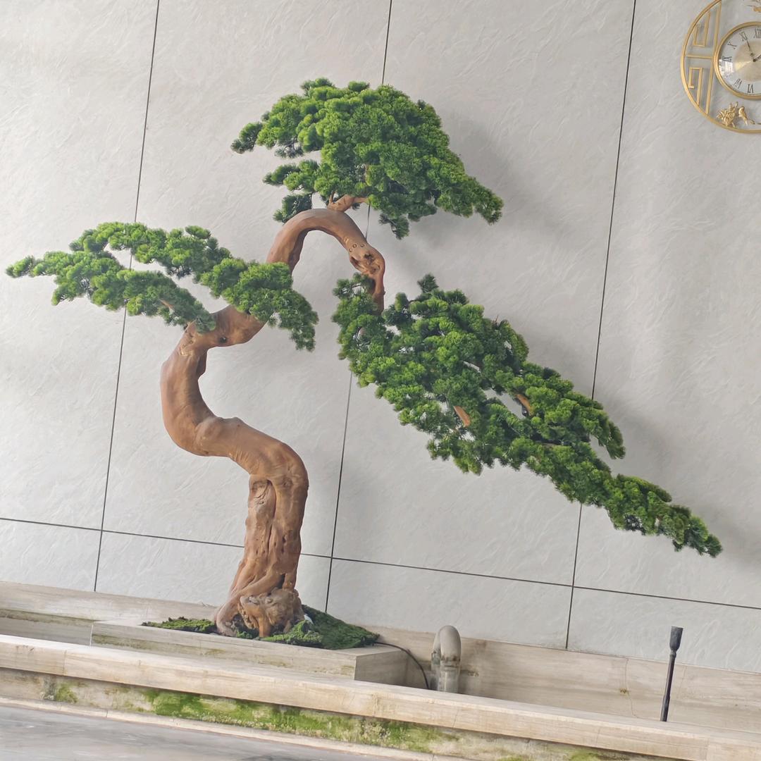 垫江小鞠(爱航拍又菜又爱玩)