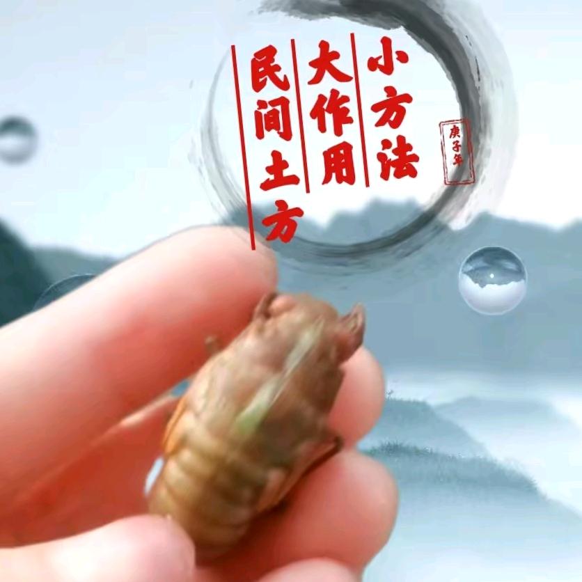 小丫说事民间土方