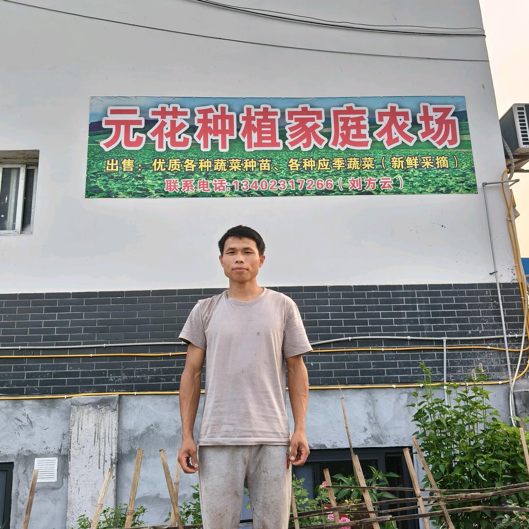 90後种菜夫妻