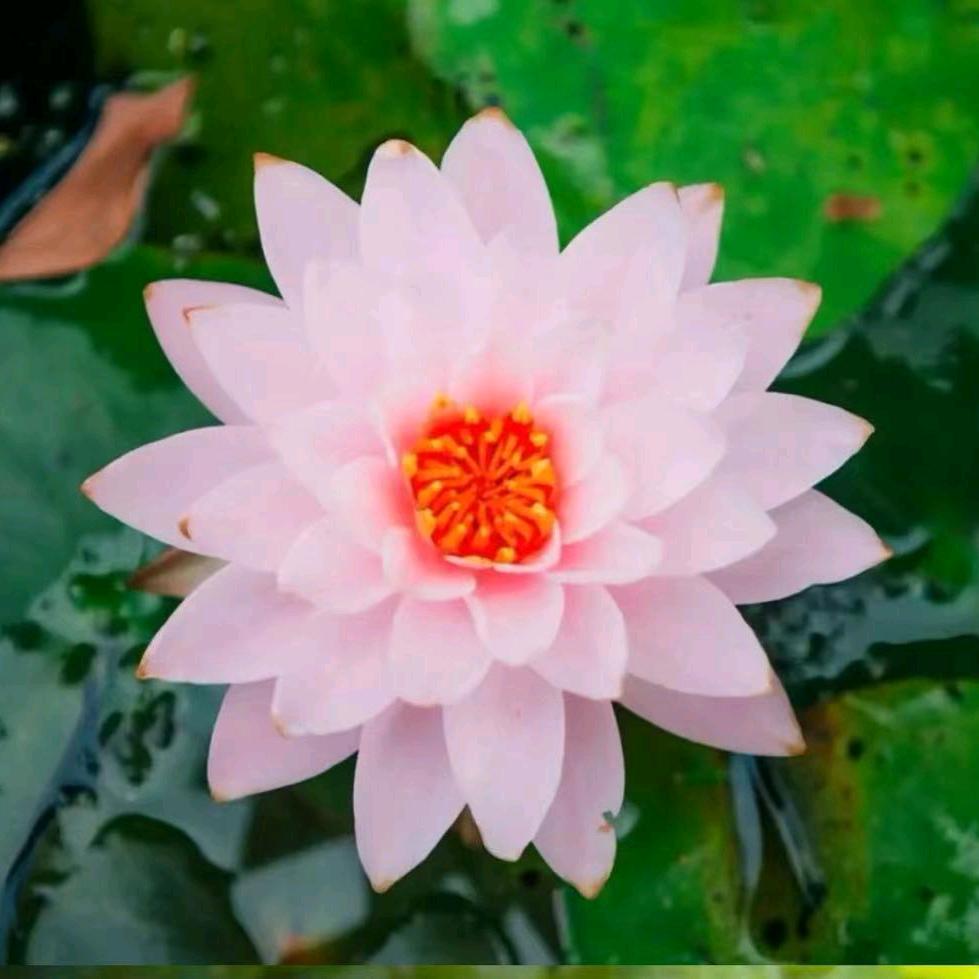 一生平安✔