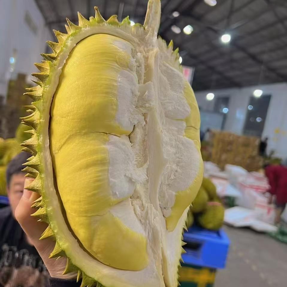 超哥@