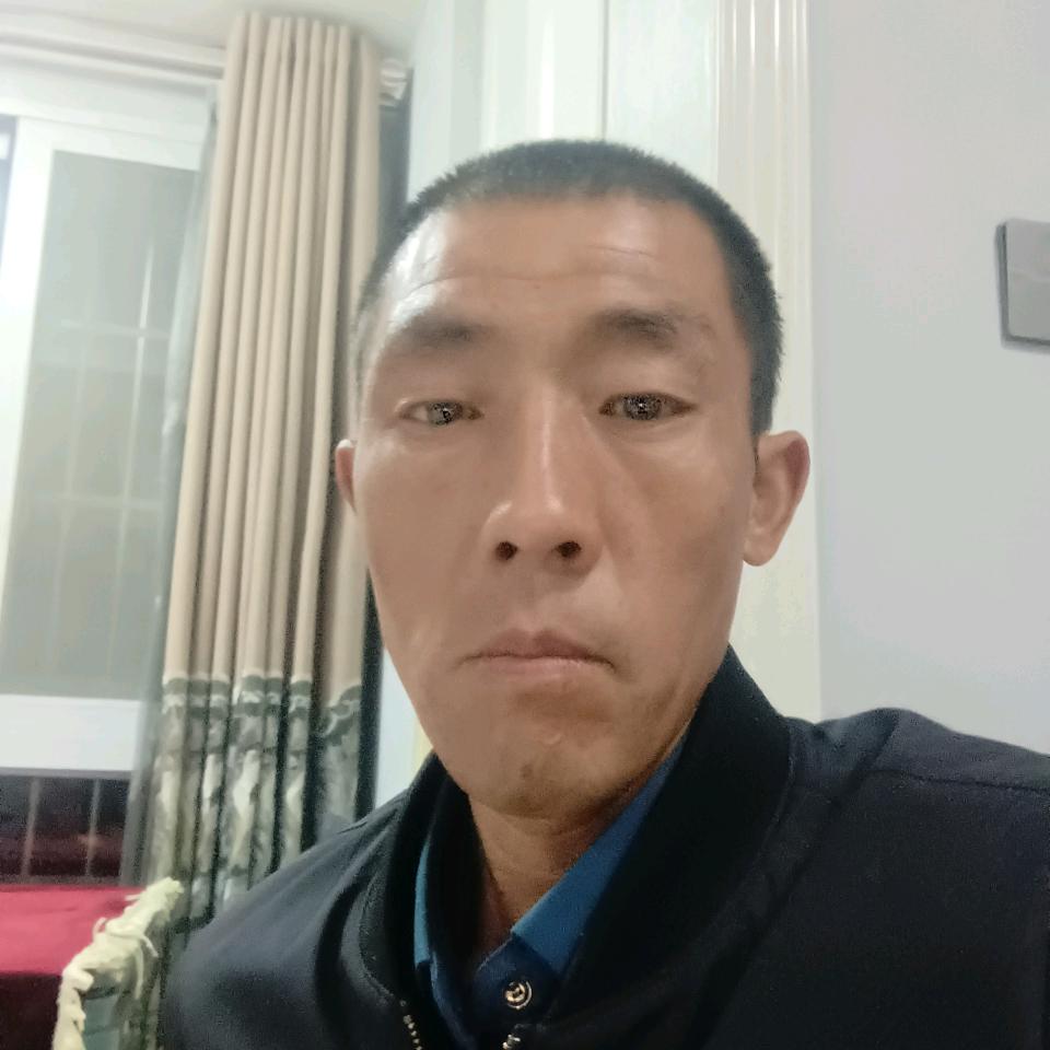 飞龙在天