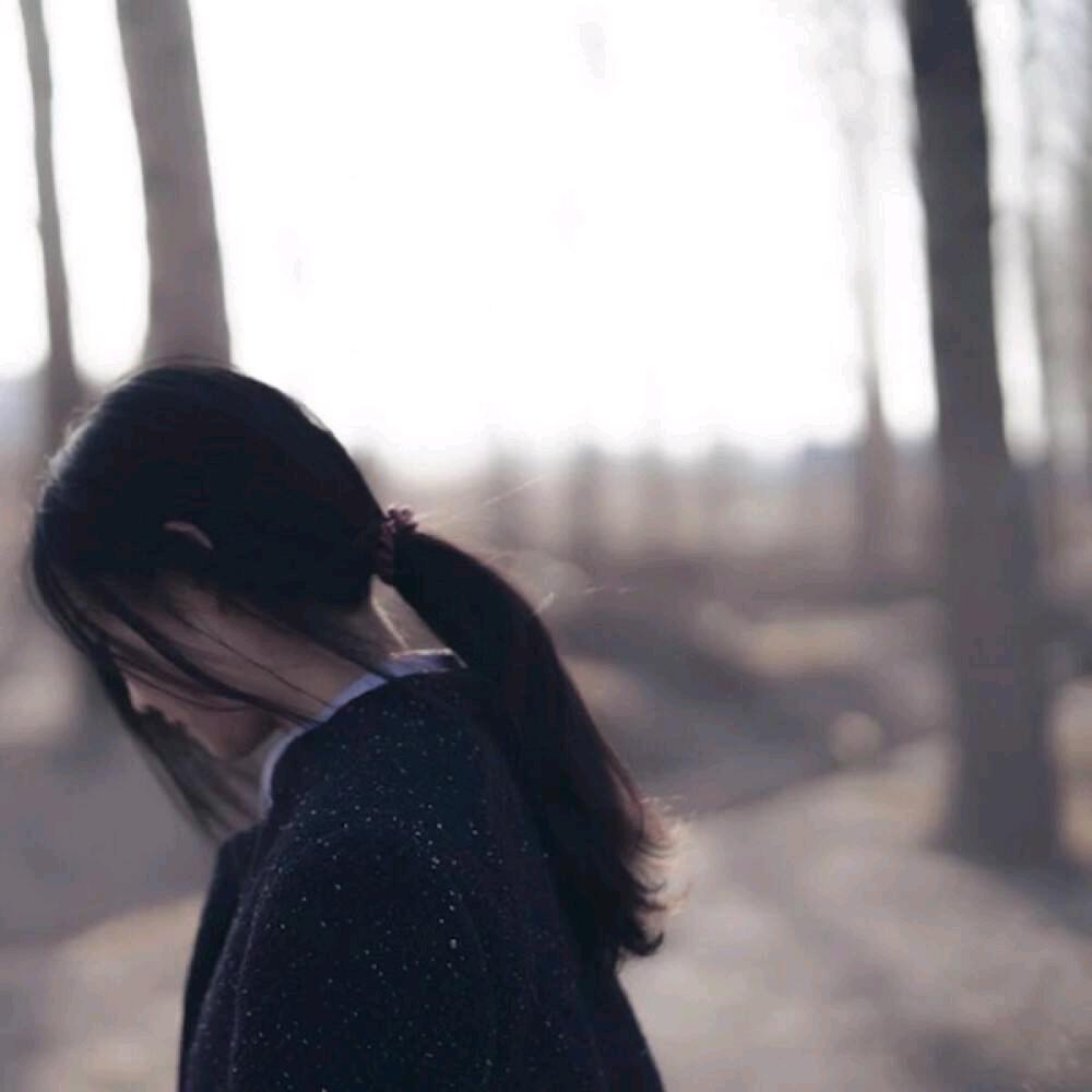 夏天的月瑶在小语心里