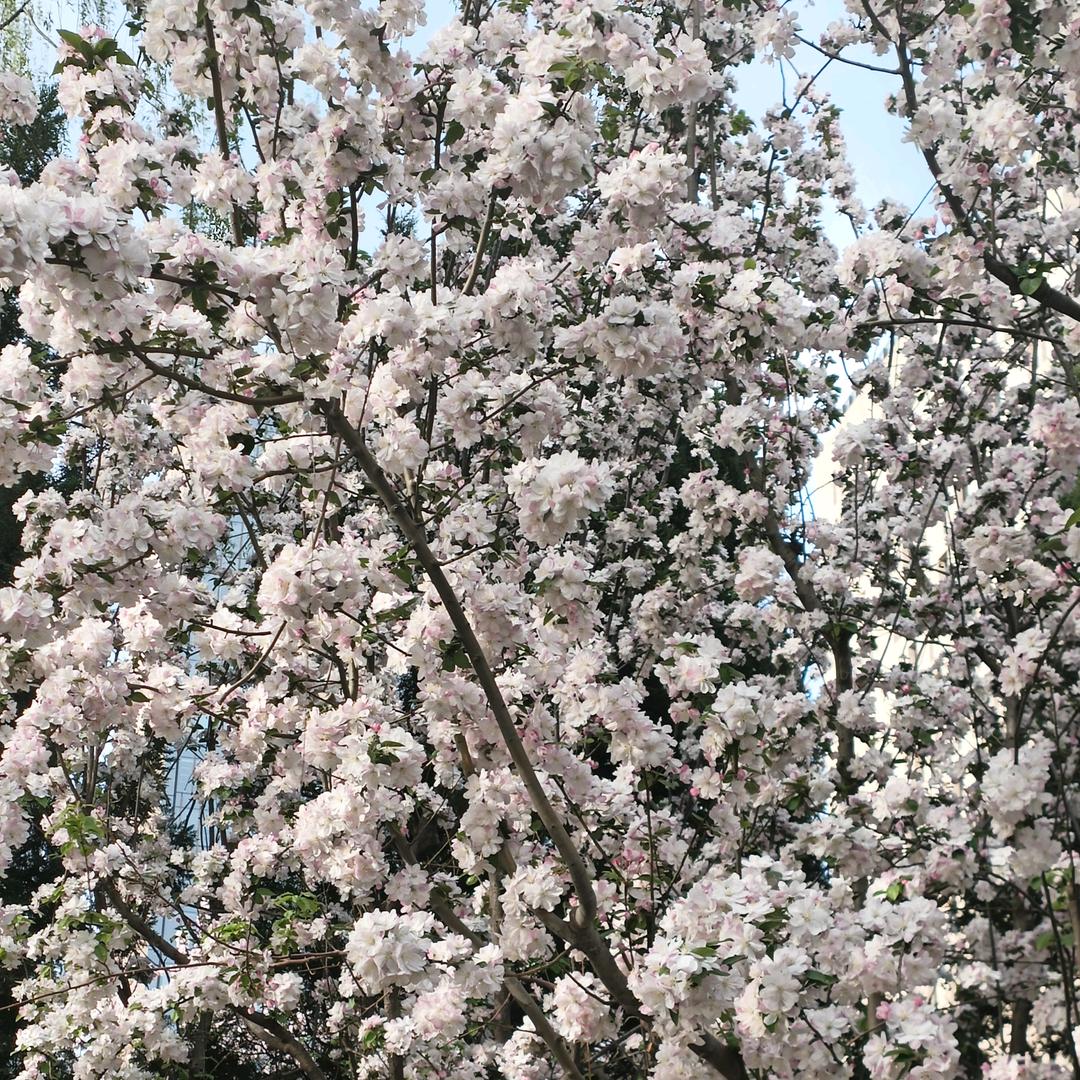 🥬萝卜白菜圪有所爱