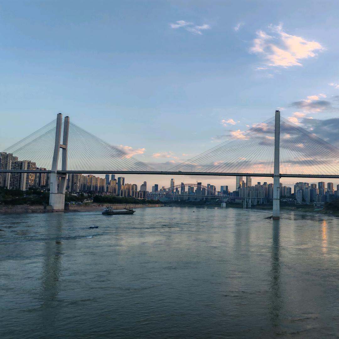 重庆新能源汽车（大王哥）