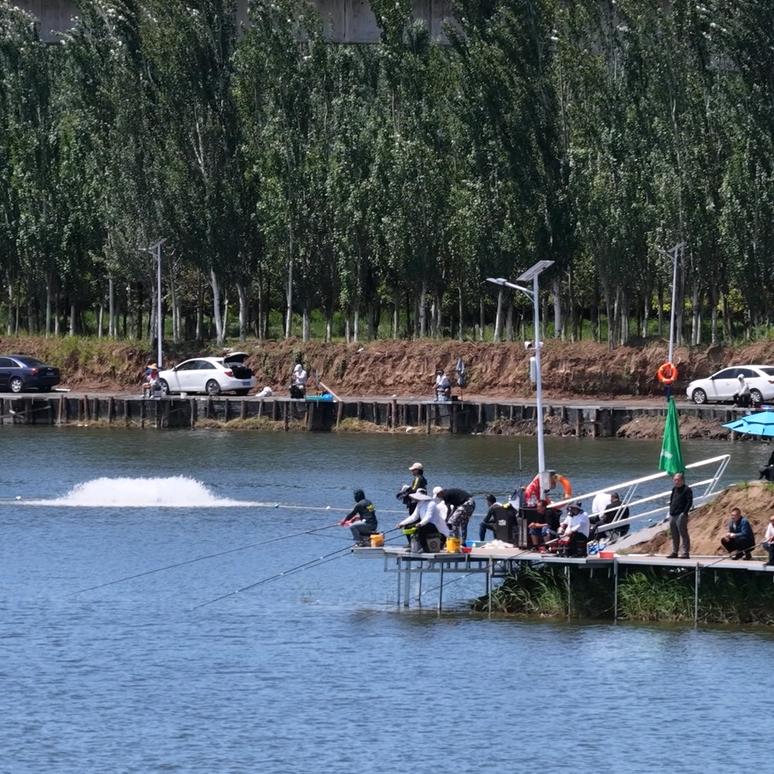 天津鱼悦水畔巨物钓场