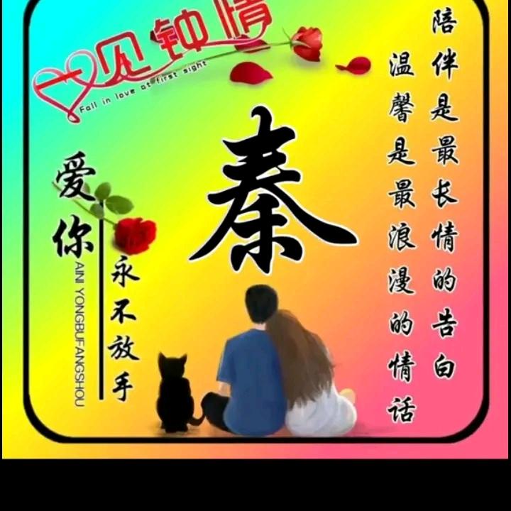 🌹一往秦深🌹