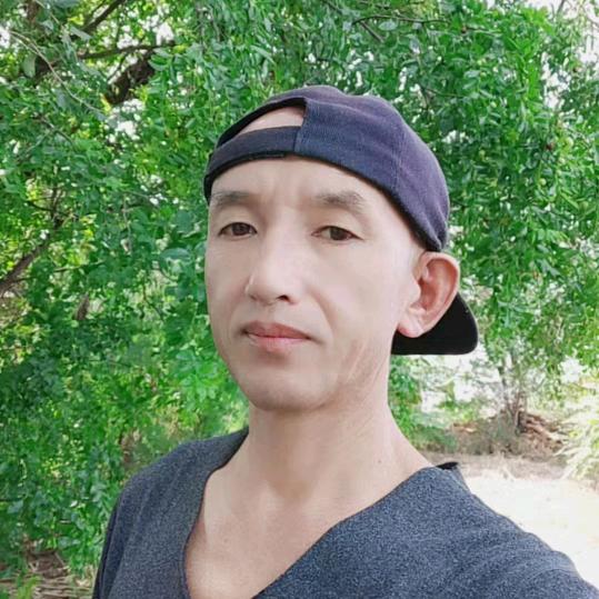 李哥(东山再起)