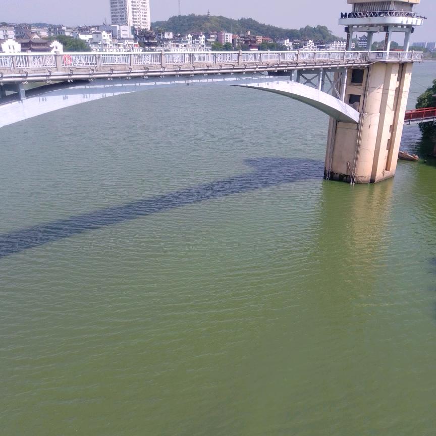 我来了