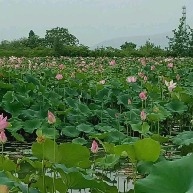 遮掩伤痕