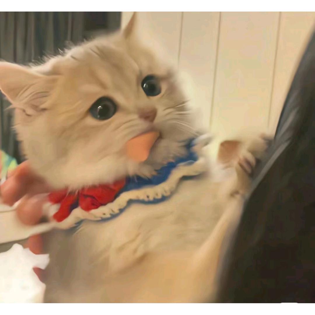 川迩
